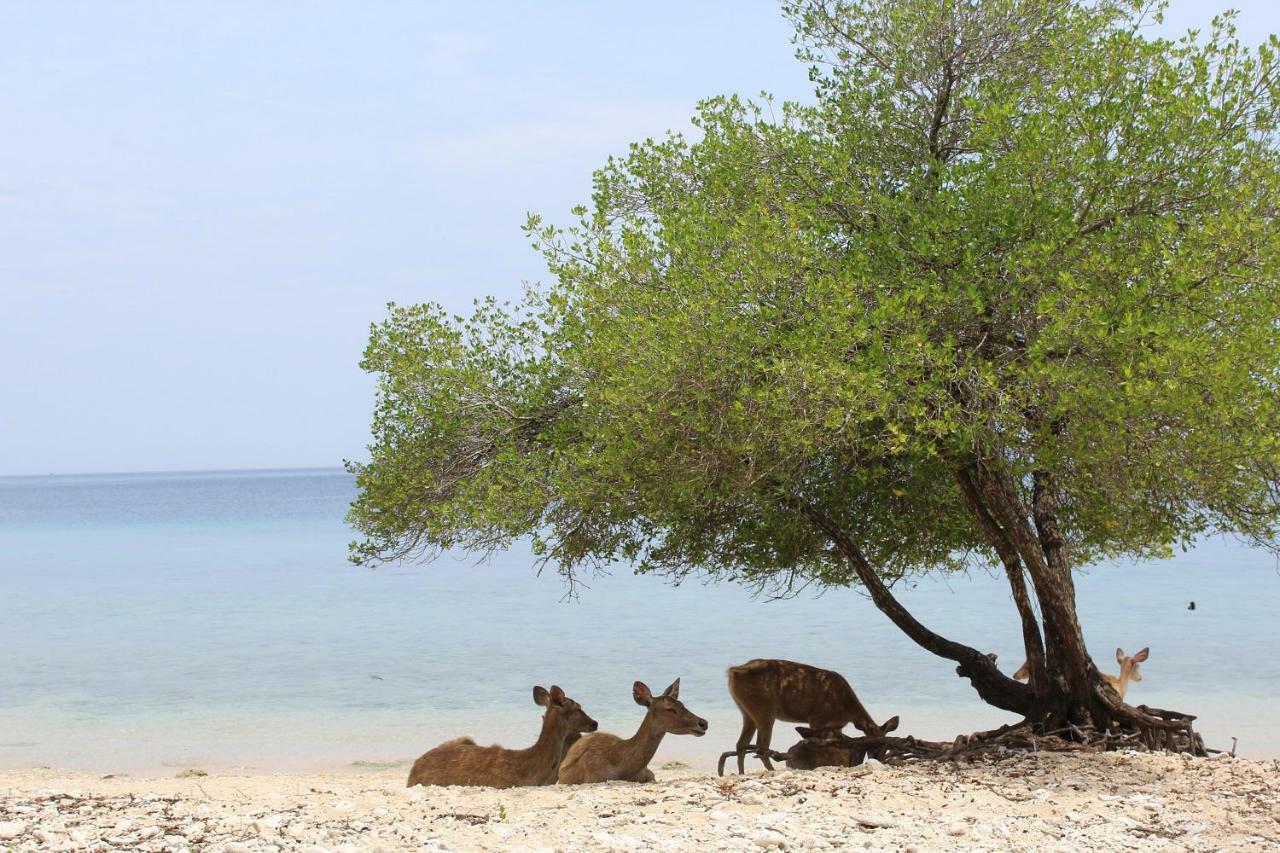 Station touristique Nusabay Menjangan 4*